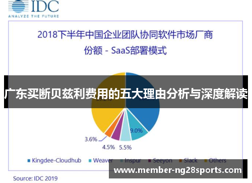 广东买断贝兹利费用的五大理由分析与深度解读